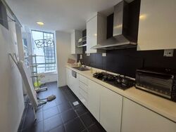 The Sunny Spring (D14), Apartment #517649991